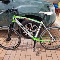 Mtb Torpado Alluminio  Light Race 2