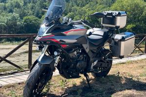 Voge Valico 500 - 2022