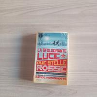 Romanzo "La sfolgorante luce di due stelle rosse"