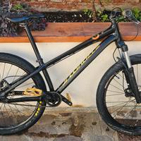 Bici Specialized