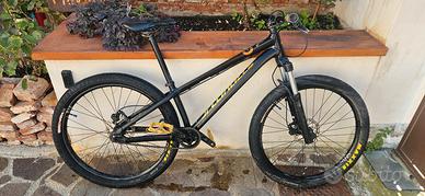 Bici Specialized
