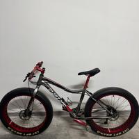 Fat bike