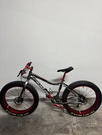 Fat bike