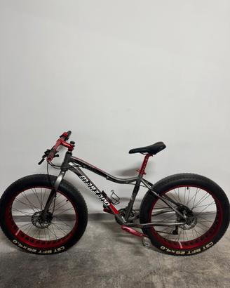 Fat bike