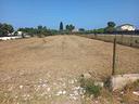 seminativo-a-siracusa
