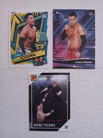 Akira Tozawa Card Wrestling WWE 