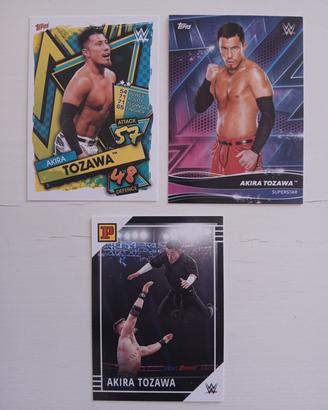 Akira Tozawa Card Wrestling WWE 