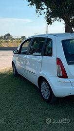 Lancia musa