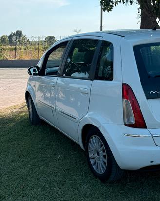 Lancia musa