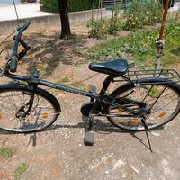Bicicletta Blouson Bridgestone 