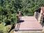 Immagine 11