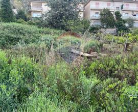 Terreno Edificabile - Borgetto