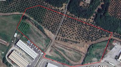 Terreno Industriale Artigianale Gizzeria