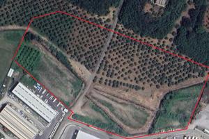 Terreno Industriale Artigianale Gizzeria