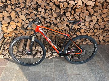 mountain bike specialized
