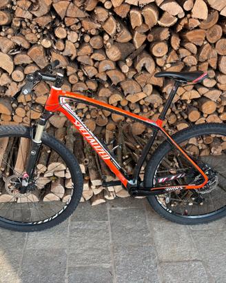 mountain bike specialized
