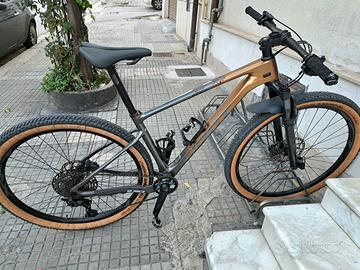 giant 29