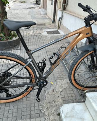 giant 29