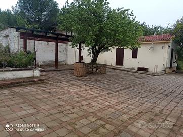 Struttura agricola m. quadri 70 circa con terreno