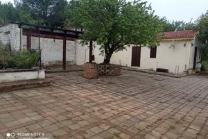 Struttura agricola m. quadri 70 circa con terreno