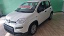 fiat-panda-1-0-firefly-s-s-hybrid-city-cross