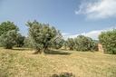 ter-residenziale-a-casperia