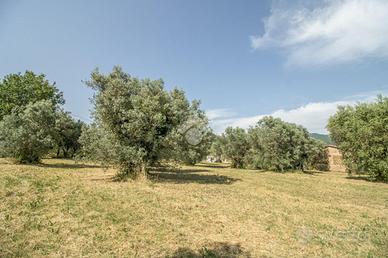 TER. RESIDENZIALE A CASPERIA