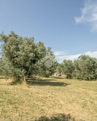 TER. RESIDENZIALE A CASPERIA