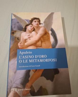 L'asino d'oro o le metamorfosi di Apuleio