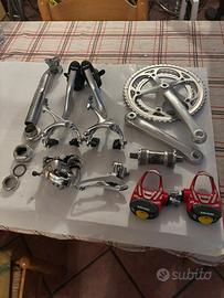 Gruppo campagnolo veloce