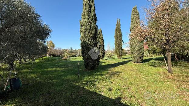 TER. AGRICOLO A GIULIANOVA