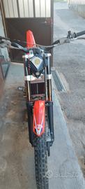 beta evo 300 2t 