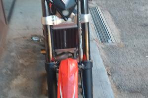 beta evo 300 2t 