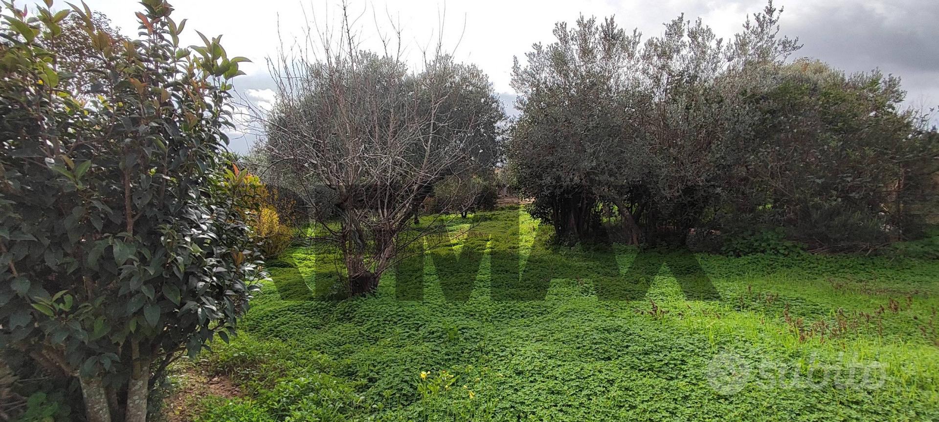 Terreno - Caltagirone - Altro