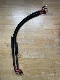 Splendidi cavi hi-end AudioQuest Aspen 1m