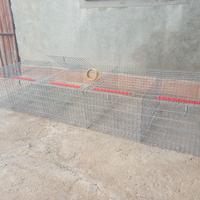 Gabbia per conigli 