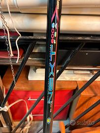 Canna da pesca fissa