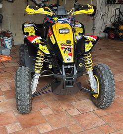 Polaris Trailblazer 250 2T