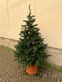 Albero di Natale artificiale h160