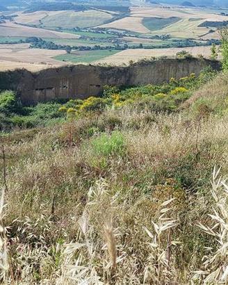Terreno di 80000 m² a Tarquinia