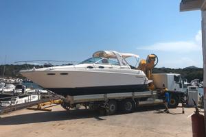 Barca Sea Ray 290 Sundancer