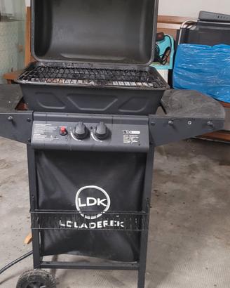 barbeque a gas e carbonella