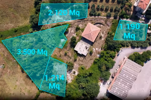 Terreni agricoli con uliveto – Foiano della Chiana
