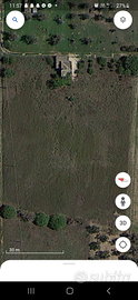 Terreno 6000mq con abitazione da ristrutturare