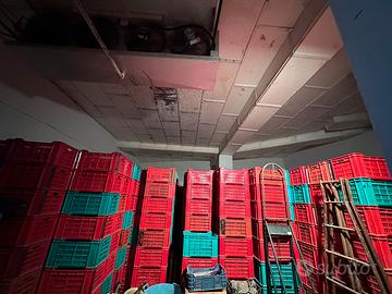 Casse in plastica, cassette, casse per la frutta