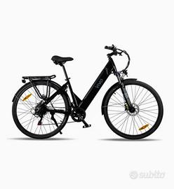 Bicicletta elettrica
