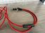 Immagine 5