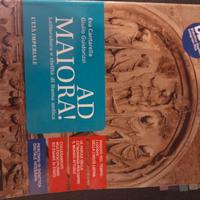 Libro Ad maiora
