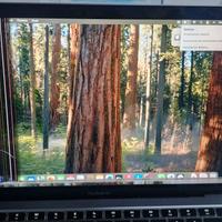 Macbook air 13 da sostituire il display