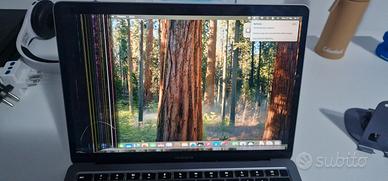 Macbook air 13 da sostituire il display